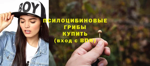 сатива Абдулино