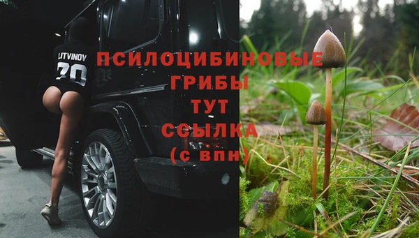 сатива Абдулино