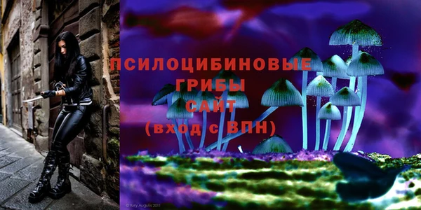 гашик Абинск