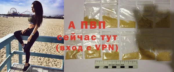 стаф Абаза