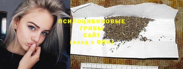 гашик Абинск