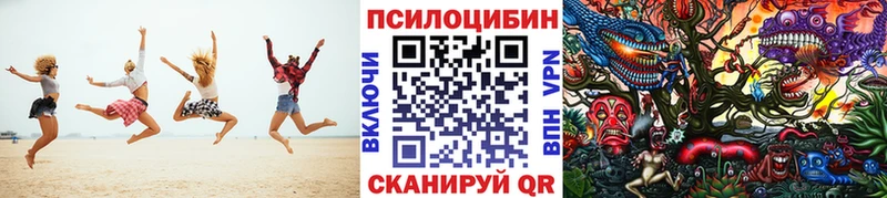 купить   Тавда  Галлюциногенные грибы мицелий 
